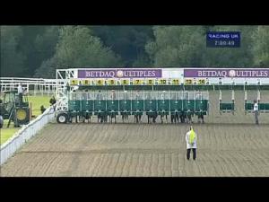 Video preview image for Kempton Park 19:00 - Betdaq Mobile Apps/British Stallion Studs E.B.F. Maiden Fillies' Stakes