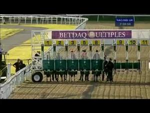 Video preview image for Kempton Park 19:30 - Betdaq Casino Games Nursery