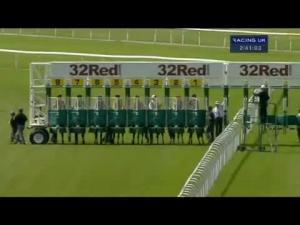Video preview image for Haydock Park 14:40 - John Greaves & Derek Wilson Supports Trc Fillies' Handicap