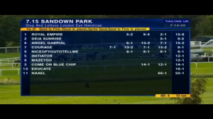 Video preview image for Sandown Park 19:15 - Slug and Lettuce London Eye Handicap