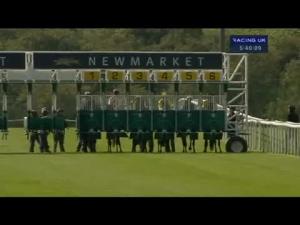 Video preview image for Newmarket 17:40 - Piper-Heidsieck Nursery