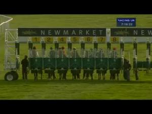 Video preview image for Newmarket 19:15 - Walker Transport Handicap