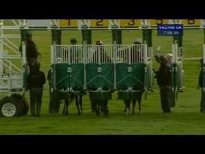 Video preview image for Newmarket 19:50 - Piper-Heidsieck Conditions Stakes