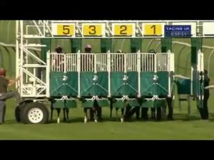 Video preview image for Nottingham 17:50 - Simply Racing Ltd Handicap