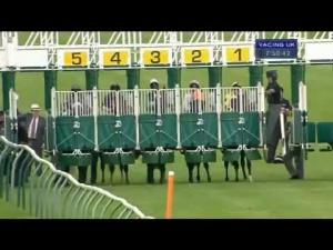 Video preview image for Nottingham 19:50 - Simply Cartons Ltd Conditions Stakes