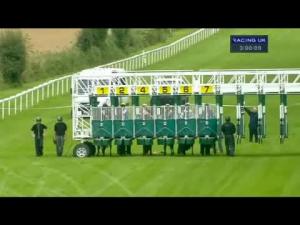 Video preview image for Salisbury 15:00 - Stevens Garnier Ltd Nursery