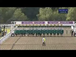 Video preview image for Kempton Park 18:05 - Back Or Lay At betdaq.com Handicap