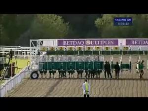Video preview image for Kempton Park 18:35 - Betdaq Mobile Apps Median Auction Maiden Stakes