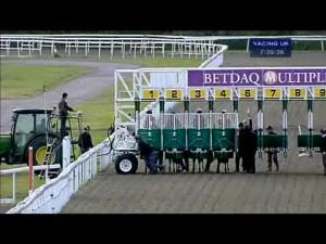 Video preview image for Kempton Park 19:35 - Racing Plus Online, Mobile and App Nursery