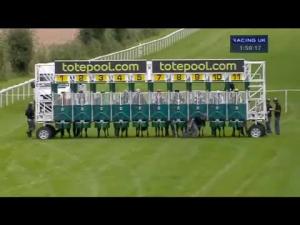 Video preview image for Salisbury 13:50 - K J Pike & Sons Ltd Maiden Auction Stakes (Div 1)