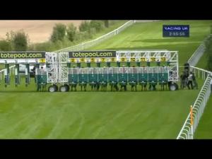 Video preview image for Salisbury 14:50 - Mary Wort Memorial Maiden Stakes