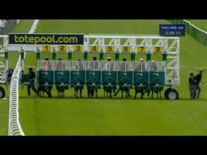 Video preview image for Salisbury 15:25 - E.B.F. Bill Wheeler 70th Birthday Fillies' Handicap