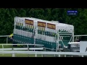 Video preview image for Newbury 15:25 - Punter Southall Transaction Services Handicap