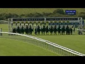 Video preview image for Newmarket 17:55 - Talk Night Club Handicap (Betfair Sprint Flat Series Qualifier)