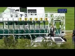 Video preview image for Catterick Bridge 18:35 - Suzanne Gill Millinery Nursery