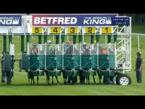 Video preview image for Newbury 14:00 - Denford Stud Stakes (Listed) (Registered As The Washington Singer Stakes) (Str)