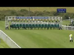 Video preview image for Newmarket 14:45 - Blue Square Bet Grey Horse Handicap (For Grey Horses Only)