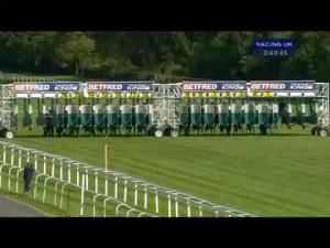 Video preview image for Newbury 15:40 - Betfred Mobile Sports Ladies Day Handicap (Str)
