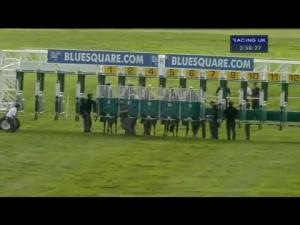 Video preview image for Newmarket 15:55 - Sir Percy Conditions Stakes