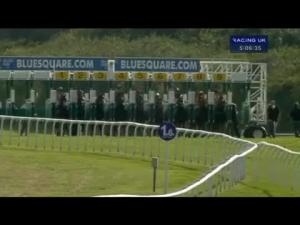 Video preview image for Newmarket 17:05 - Dodson & Horrell Handicap