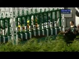 Video preview image for Thirsk 16:00 - welcometoherriotcountry.com Handicap