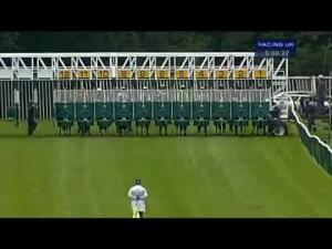 Video preview image for Warwick 17:00 - Entertain Clients At Warwick Racecourse Apprentice Handicap