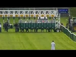 Video preview image for Warwick 18:00 - British Stallion Studs Supporting British Racing E.B.F. Maiden Fillies' Stakes