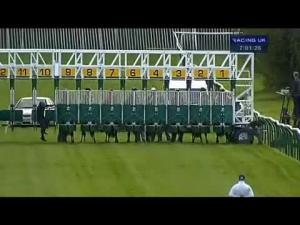 Video preview image for Warwick 19:00 - Racing UK Nursery