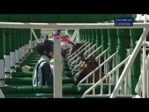 Video preview image for York 14:00 - Symphony Group Handicap