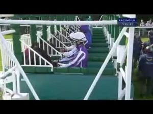 Video preview image for York 15:40 - Juddmonte International Stakes (Group 1) (British Champions Series)