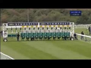 Video preview image for Newmarket 13:20 - E.B.F. Piper-Heidsieck Maiden Fillies' Stakes (Div 1)