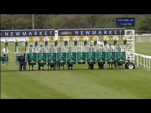 Video preview image for Newmarket 13:50 - E.B.F. Piper-Heidsieck Maiden Fillies' Stakes (Div 2)