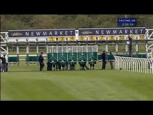 Video preview image for Newmarket 14:20 - Hemihelp Nursery