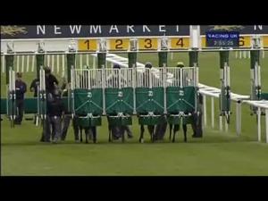 Video preview image for Newmarket 14:55 - E.B.F. Piper-Heidsieck Maiden Stakes