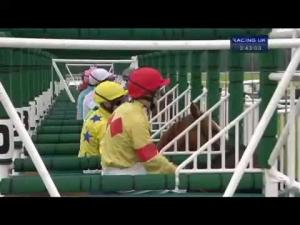 Video preview image for York 15:40 - Coolmore Nunthorpe Stakes (British Champions Series) (Group 1)