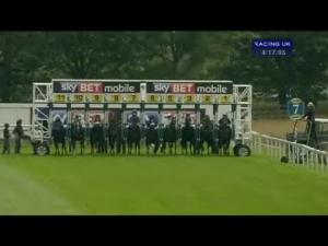 Video preview image for York 16:15 - Sky Bet Mobile Convivial Maiden Stakes