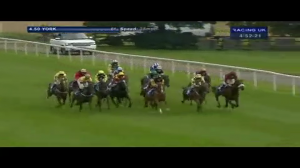 Video preview image for York 16:50 - tyregiant.com Nursery