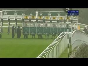 Video preview image for Goodwood 17:40 - Greene King Nursery