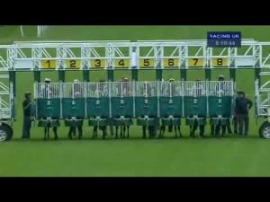 Video preview image for Hamilton Park 20:10 - hamilton-park.co.uk Handicap