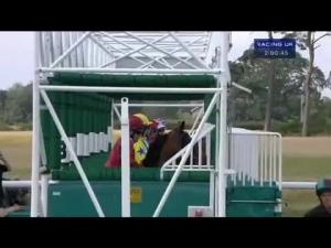 Video preview image for York 14:00 - Betfred City Of York Stakes (Listed)