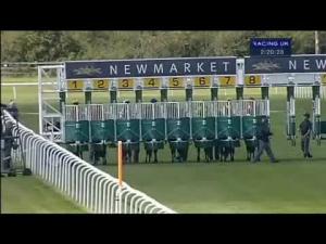 Video preview image for Newmarket 14:20 - Lettergold Nursery