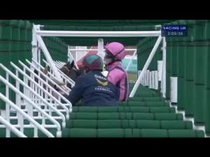 Video preview image for York 15:05 - Weatherbys Insurance Lonsdale Cup (British Champions Series) (Group 2)