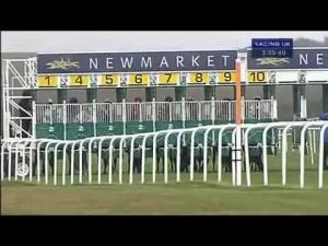 Video preview image for Newmarket 15:25 - Chris Blackwell Memorial Hopeful Stakes (Listed)