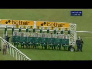 Video preview image for Goodwood 15:55 - Bonhams Maiden Auction Stakes