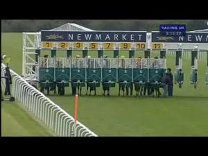 Video preview image for Newmarket 17:10 - Turftv Handicap
