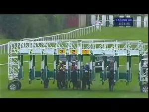 Video preview image for Redcar 18:30 - Market Cross Jewellers Novice Median Auction Stakes