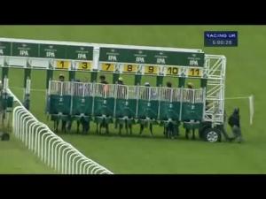 Video preview image for Goodwood 17:00 - Greene King Handicap