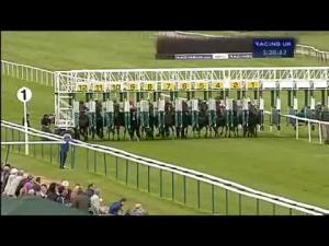 Video preview image for Warwick 15:20 - Excelerate Resources Handicap