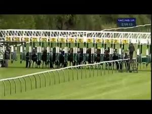 Video preview image for Warwick 15:55 - Irish Stallion Farms E.B.F. Maiden Stakes (Div 1)