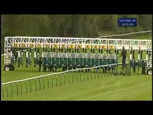 Video preview image for Warwick 16:30 - Irish Stallion Farms E.B.F. Maiden Stakes (Div 2)